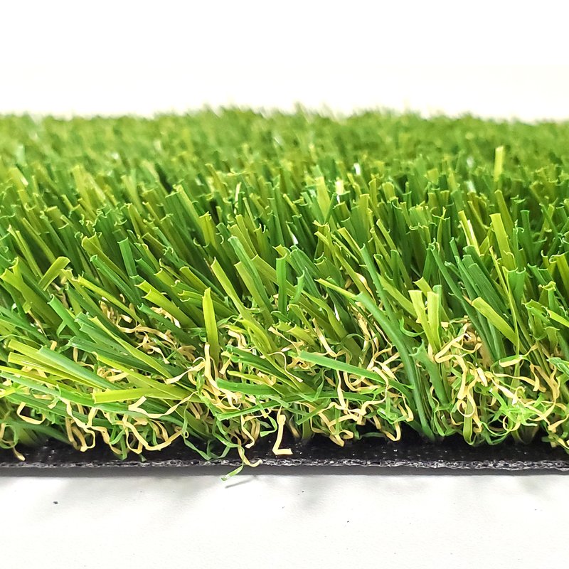 Turf Grass II